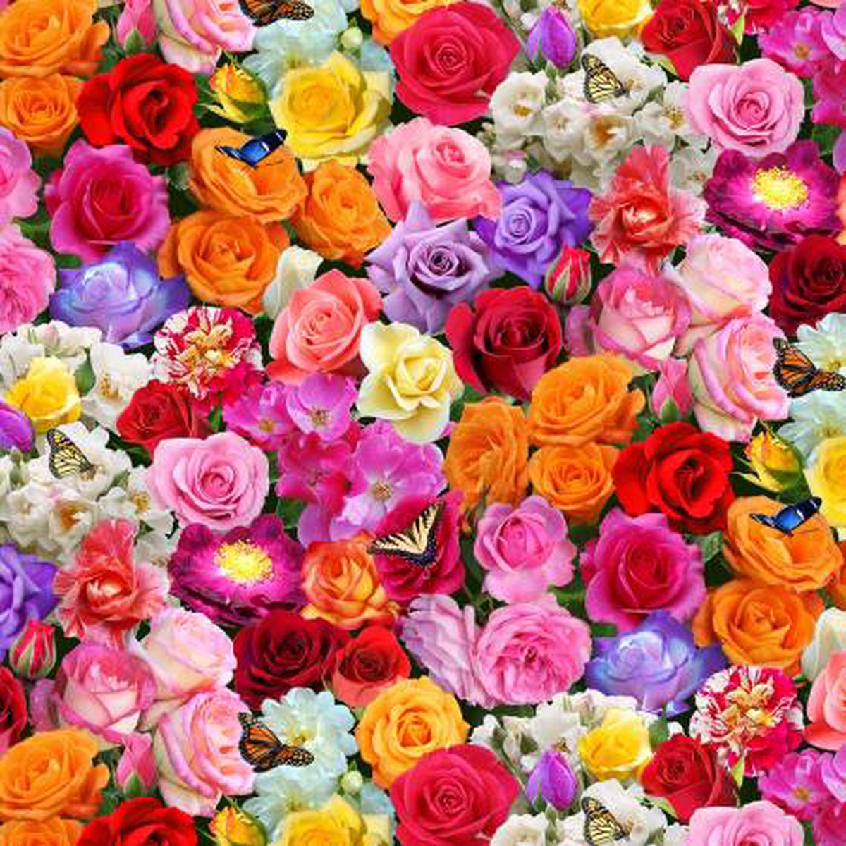 (SOLD PER BOLT) Burst of Color Roses Colored Packed Multi Elizabeth's Studio Cotton Fabric ES-663 Multi-FB