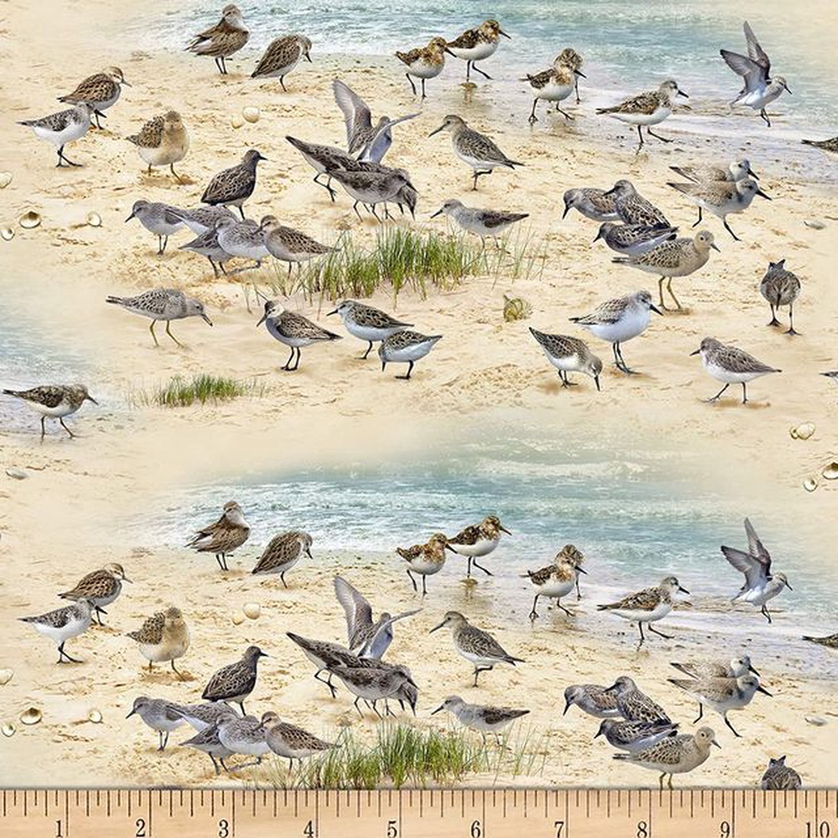 (SOLD PER BOLT) Coastal Scene Dreams Sandpipers Birds Sand Elizabeth's Studio Cotton Fabric ES-593-Sand-FB 15 Yards
